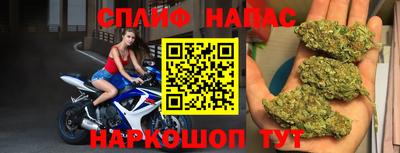мдпв Кандалакша