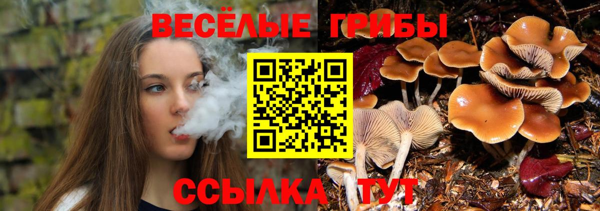 Лянтор  Псилоцибиновые грибы GOLDEN TEACHER  Вход с VPN 